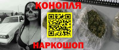 шишки Будённовск