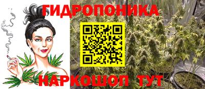шишки Будённовск