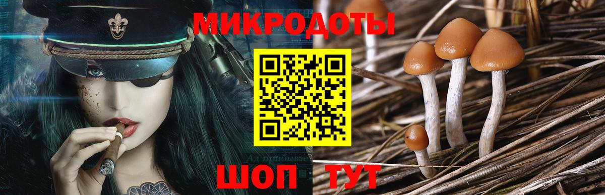 Галлюциногенные грибы Magic Shrooms  Галлюциногенные грибы прущие грибы  Вход с VPN  Кингисепп 